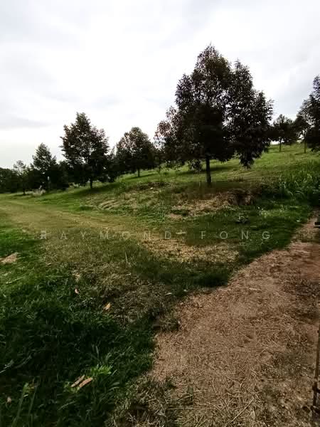 Tanah Pertanian untuk Dijual di Taman Kluang (Kluang) - Raymond Fong - PropertyGuru.com.my