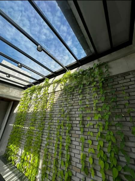 Semi-Detached House for Sale in Kampung Baharu (Port Dickson) - Muhammed Nazri bin Mustapha - Exterior - PropertyGuru.com.my