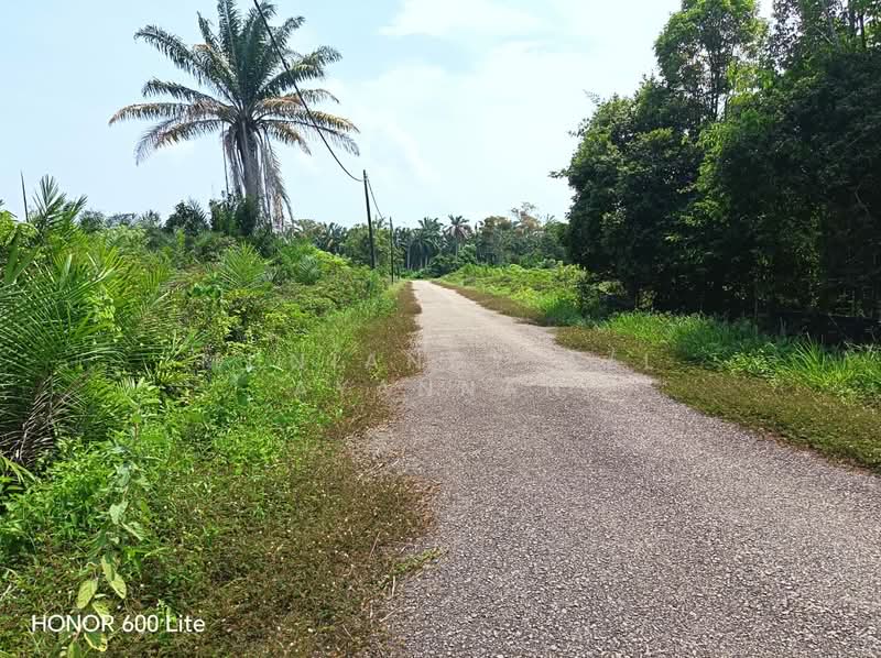 Agricultural Land for Sale in Kuala Linggi (Melaka) - Muniandy A/L Ayannan - Exterior - PropertyGuru.com.my