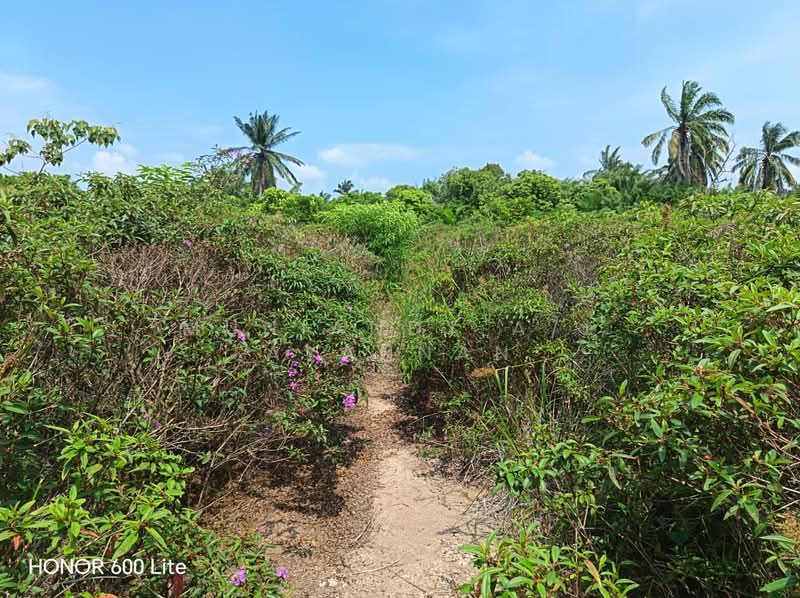 Agricultural Land for Sale in Kuala Linggi (Melaka) - Muniandy A/L Ayannan - Exterior - PropertyGuru.com.my