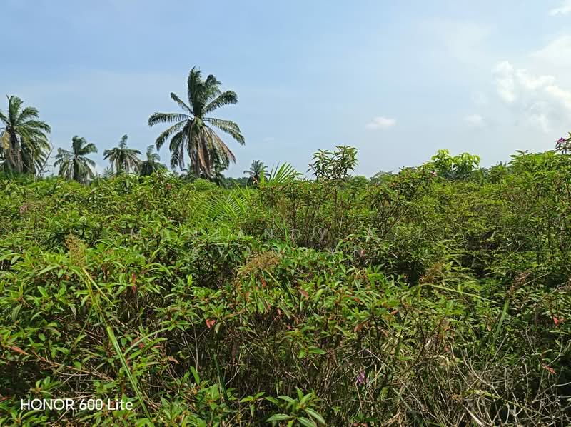 Agricultural Land for Sale in Kuala Linggi (Melaka) - Muniandy A/L Ayannan - Exterior - PropertyGuru.com.my