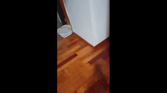 Bungalow for Rent in Ukay Bistari (Ulu Kelang) - Alvin Sow - PropertyGuru.com.my