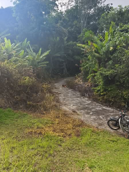 Agricultural Land for Sale in Balik Pulau (Penang) - CH Yeoh - PropertyGuru.com.my