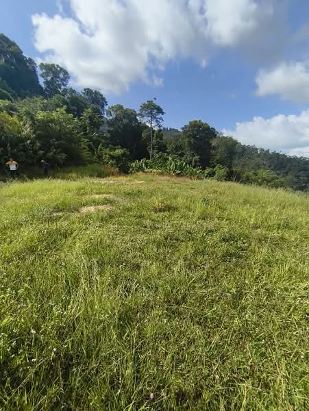 Agricultural Land for Sale in Balik Pulau (Penang) - CH Yeoh - PropertyGuru.com.my