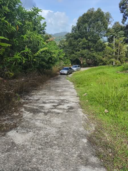 Agricultural Land for Sale in Balik Pulau (Penang) - CH Yeoh - PropertyGuru.com.my
