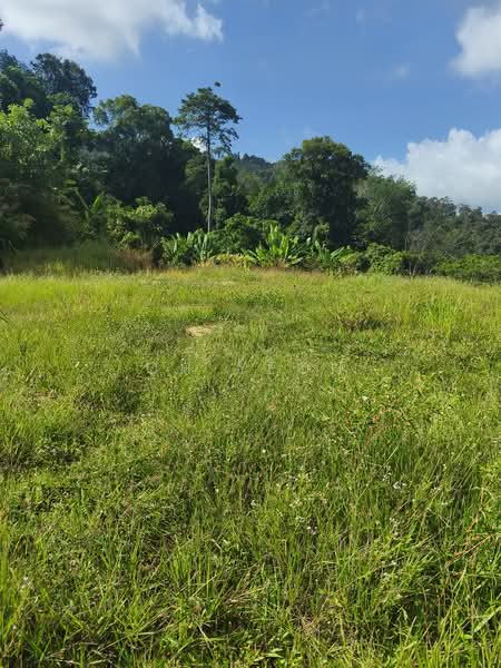 Agricultural Land for Sale in Balik Pulau (Penang) - CH Yeoh - PropertyGuru.com.my