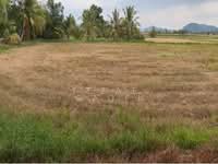 For Sale - Agriculture land in Kangar Perlis