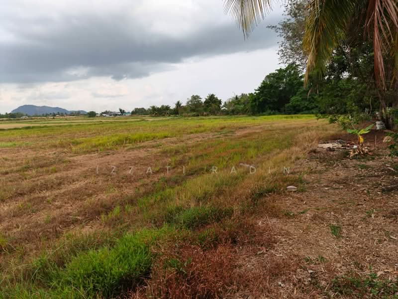 Agricultural Land for Sale in Kangar (Perlis) - Izzati Radin - Exterior - PropertyGuru.com.my