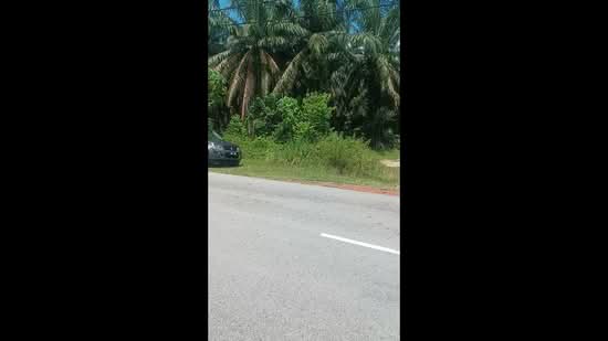 Agricultural Land for Sale in Bentong (Pahang) - Chin SH - PropertyGuru.com.my
