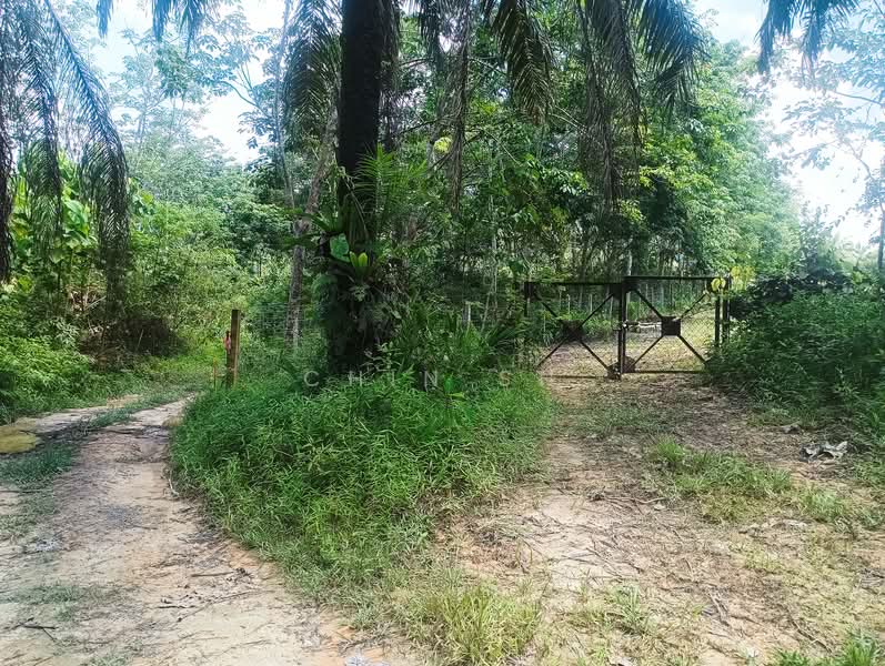 Agricultural Land for Sale in Bentong (Pahang) - Chin SH - PropertyGuru.com.my