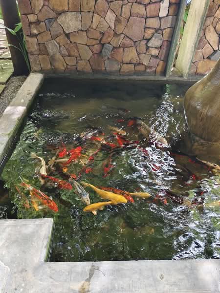 Kondominium untuk Dijual di Atmosfera Kondominium - JK Lau - Garden - PropertyGuru.com.my