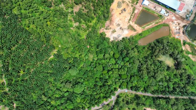 Other Property for Sale in Senai (Kulai) - Eloise Wong - PropertyGuru.com.my