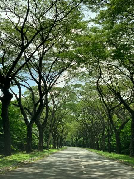 Rumah Banglo untuk Dijual di Saujana Impian (Kajang) - Igen Mak - Exterior - PropertyGuru.com.my