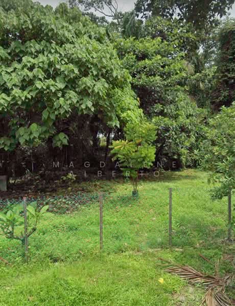 Residential Land for Sale in Ampang (Ampang) - Magdalene Alberto - PropertyGuru.com.my