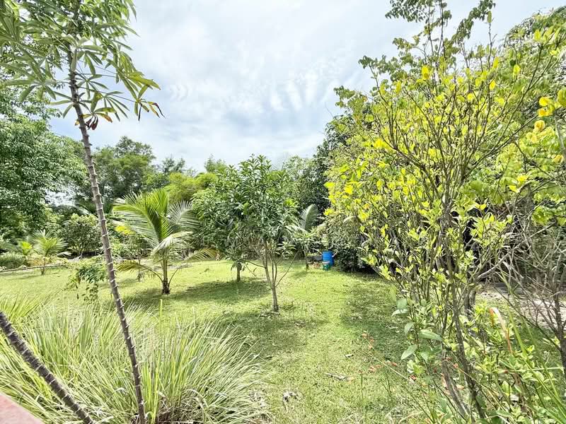 Cluster House for Sale in Alam Suria (Puncak Alam) - Hazeman Omar - Garden - PropertyGuru.com.my