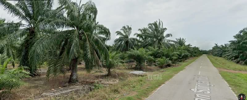 Residential Land for Sale in Kuala Selangor (Selangor) - Alex Lee - Exterior - PropertyGuru.com.my