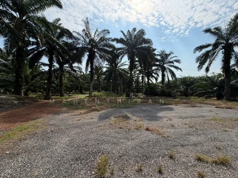 Agricultural Land for Sale in Port Dickson (Negeri Sembilan) - Mahenthiran . - PropertyGuru.com.my
