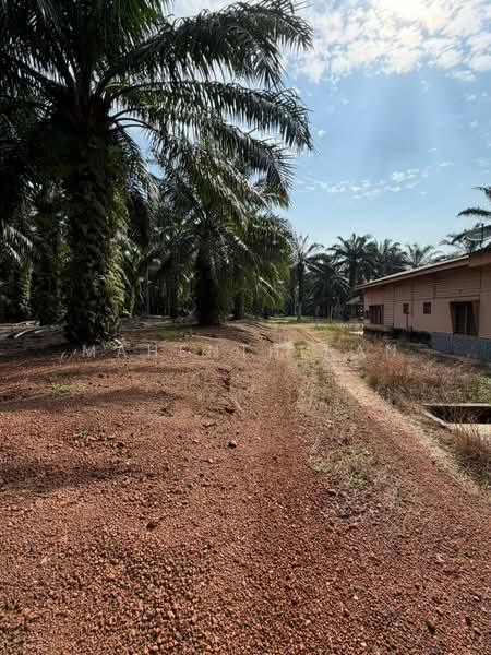 Agricultural Land for Sale in Port Dickson (Negeri Sembilan) - Mahenthiran . - PropertyGuru.com.my