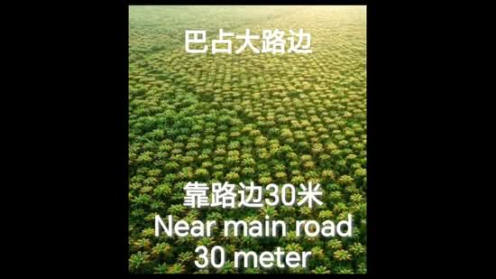 Agricultural Land for Sale in Bercham (Ipoh) - Ronald Kong - PropertyGuru.com.my