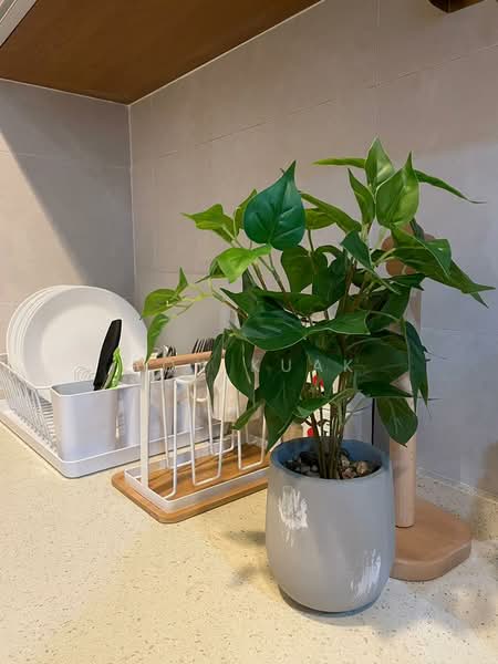 Pangsapuri untuk Dijual di Aranda Nova - Roy Kuak - Kitchen - PropertyGuru.com.my