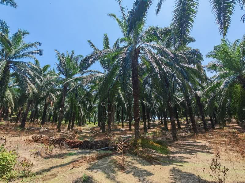 Agricultural Land for Sale in Masjid Tanah (Melaka) - Ramona Tan - Exterior - PropertyGuru.com.my