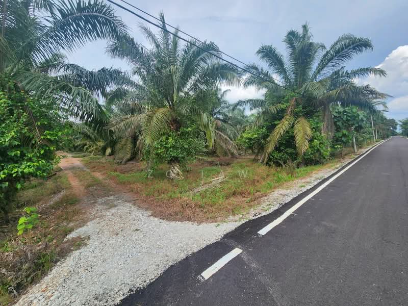 Tanah Pertanian untuk Dijual di Kampung Lapis Semarang (Parit Raja) - ZG Law - PropertyGuru.com.my