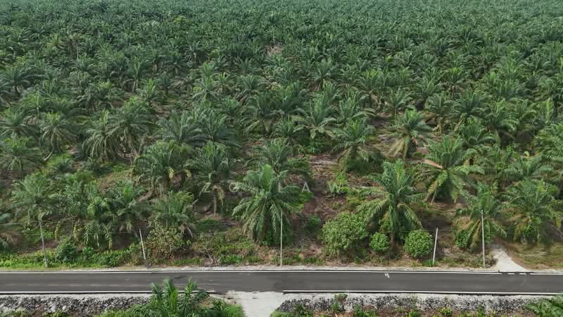 Tanah Pertanian untuk Dijual di Kampung Lapis Semarang (Parit Raja) - ZG Law - PropertyGuru.com.my