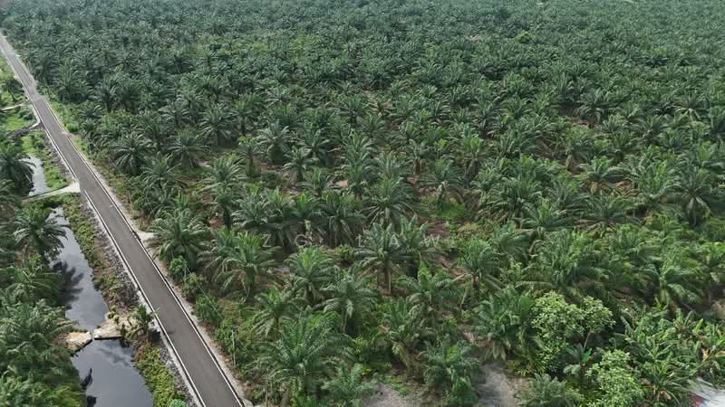 Tanah Pertanian untuk Dijual di Kampung Lapis Semarang (Parit Raja) - ZG Law - PropertyGuru.com.my