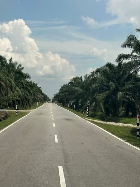 Agricultural Land for Sale in Kampung Sri Cheeding (Jenjarom) - KS Yeo - Exterior - PropertyGuru.com.my