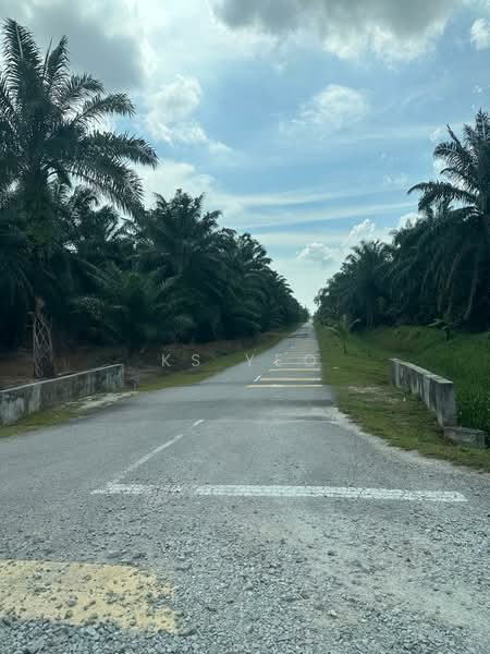 Agricultural Land for Sale in Kampung Sri Cheeding (Jenjarom) - KS Yeo - Exterior - PropertyGuru.com.my