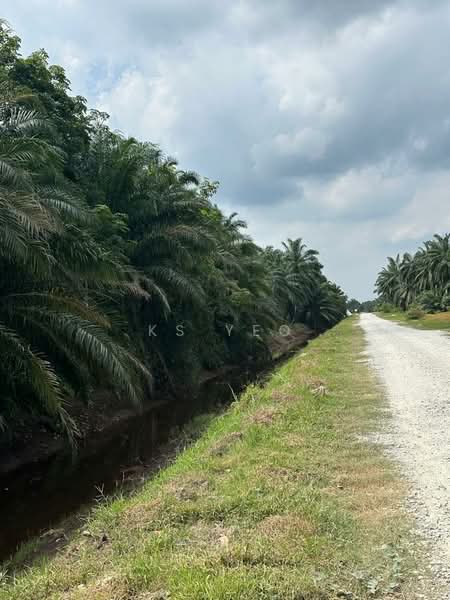 Agricultural Land for Sale in Kampung Sri Cheeding (Jenjarom) - KS Yeo - Exterior - PropertyGuru.com.my
