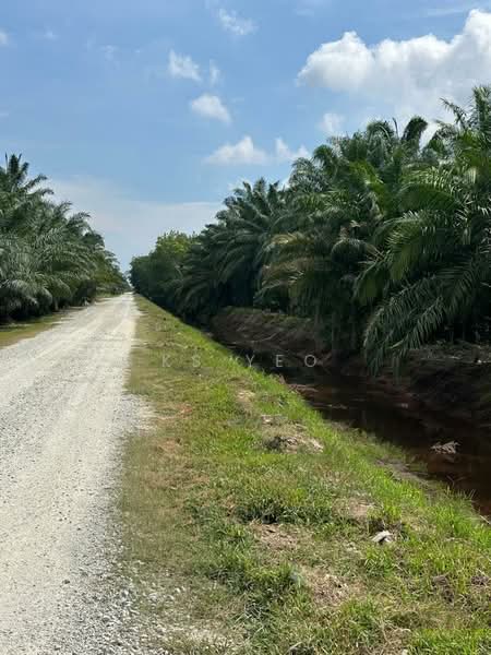 Agricultural Land for Sale in Kampung Sri Cheeding (Jenjarom) - KS Yeo - Exterior - PropertyGuru.com.my