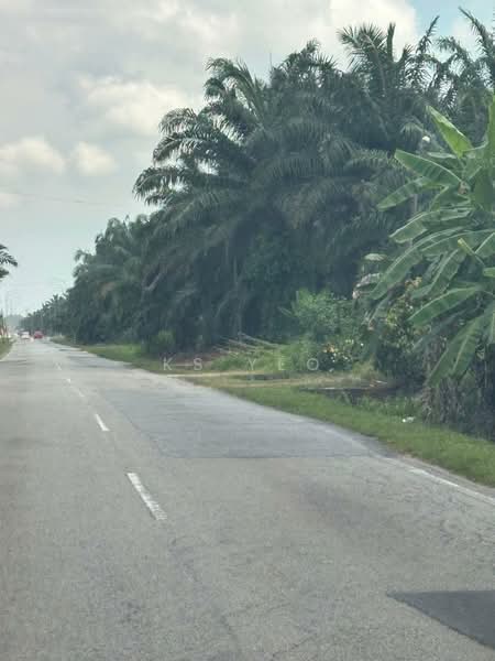 Agricultural Land for Sale in Kampung Sri Cheeding (Jenjarom) - KS Yeo - Exterior - PropertyGuru.com.my