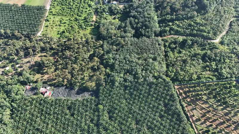 Agricultural Land for Sale in Batang Kali (Selangor) - Iz Hakim - Exterior - PropertyGuru.com.my