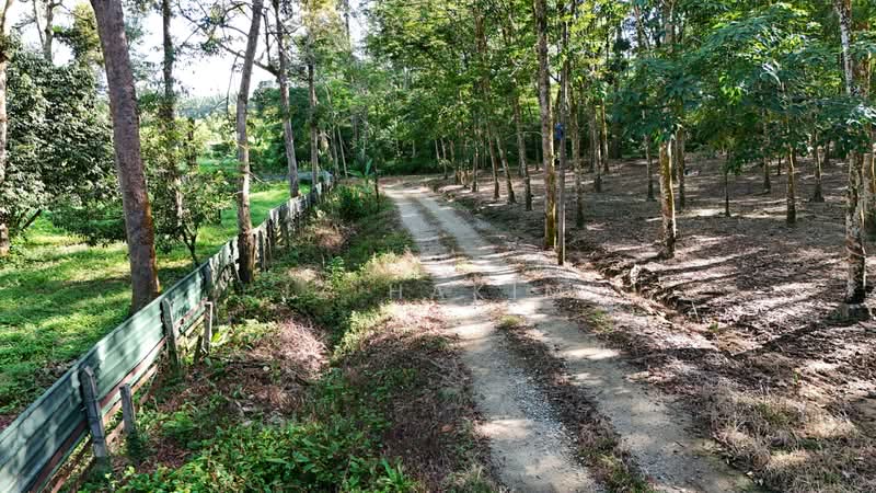 Agricultural Land for Sale in Batang Kali (Selangor) - Iz Hakim - Exterior - PropertyGuru.com.my