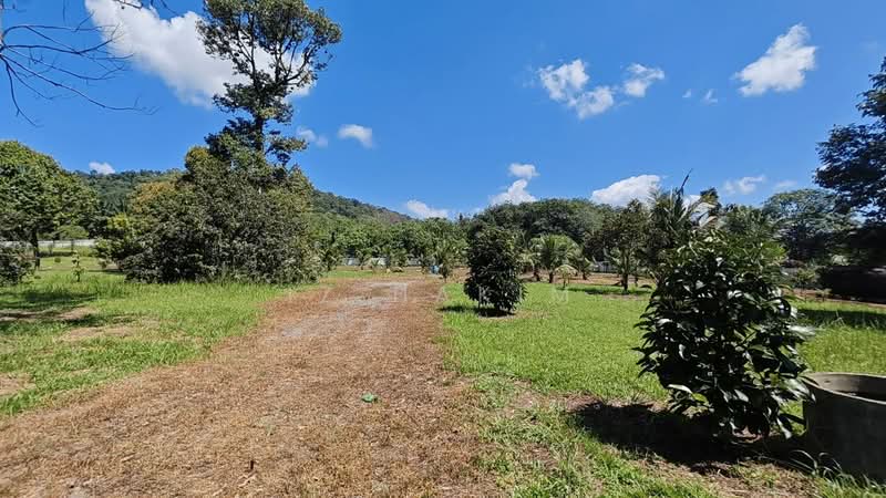 Agricultural Land for Rent in Batang Kali (Selangor) - Iz Hakim - Exterior - PropertyGuru.com.my