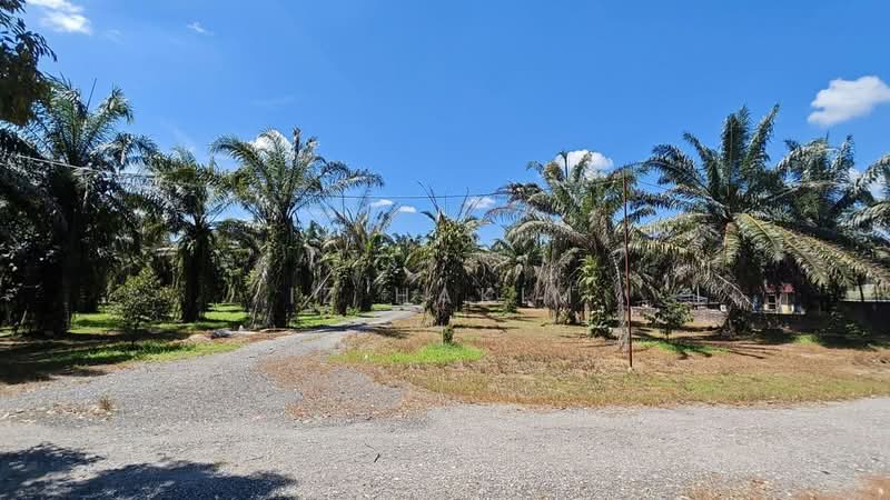 Agricultural Land for Rent in Batang Kali (Selangor) - Iz Hakim - Exterior - PropertyGuru.com.my