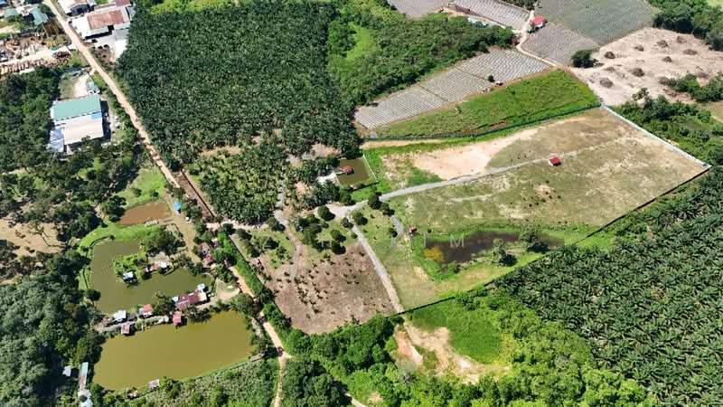 Agricultural Land for Rent in Batang Kali (Selangor) - Iz Hakim - Exterior - PropertyGuru.com.my