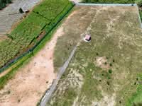 For Rent - land For Rent Batang Kali ( 3 Phase Electric) (Gated Area)