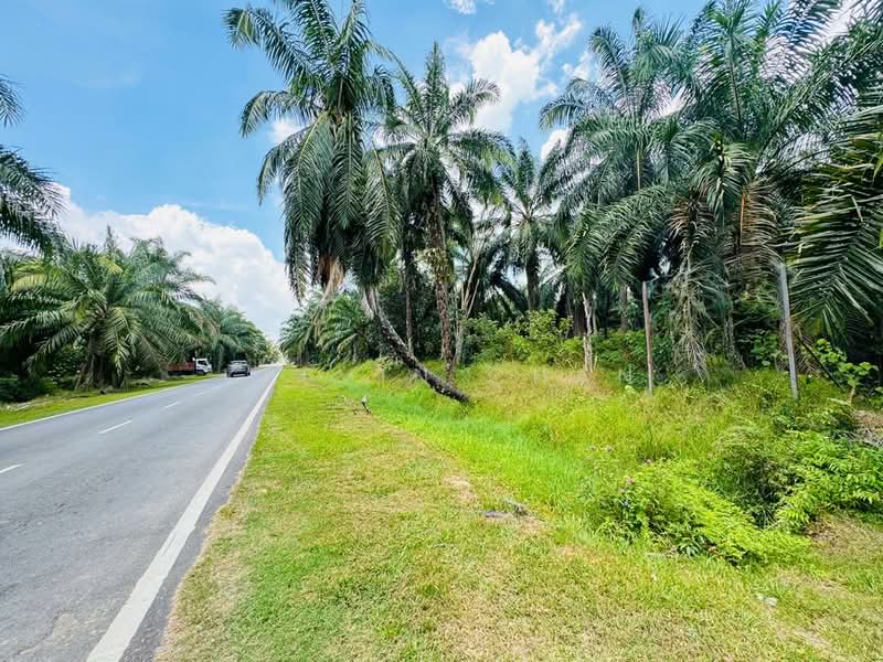 Agricultural Land for Sale in Banting (Selangor) - Kelvin Chan - Exterior - PropertyGuru.com.my