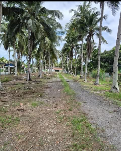 Tanah Pertanian untuk Dijual di Banting (Selangor) - Selvam . - Exterior - PropertyGuru.com.my