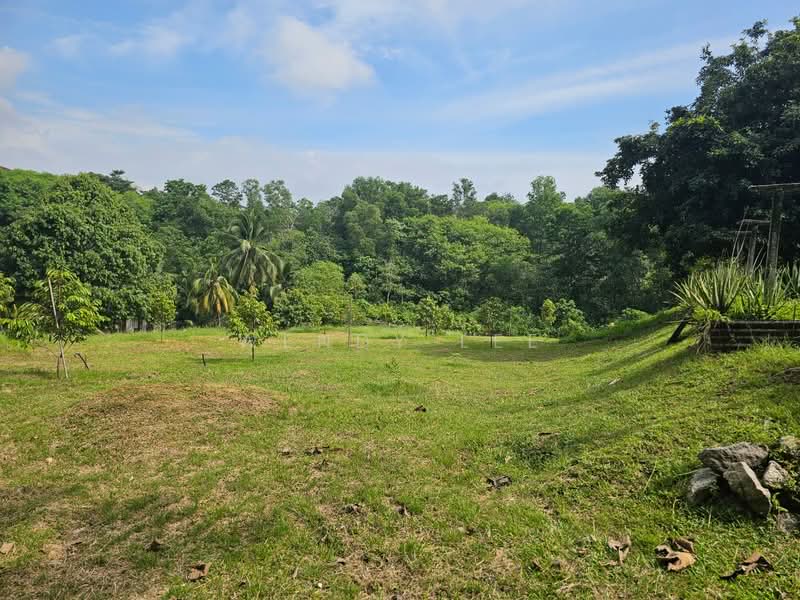 Tanah Pertanian untuk Dijual di Taman Senawang Jaya (Senawang) - Wendy Lee - The Land View 2 - PropertyGuru.com.my