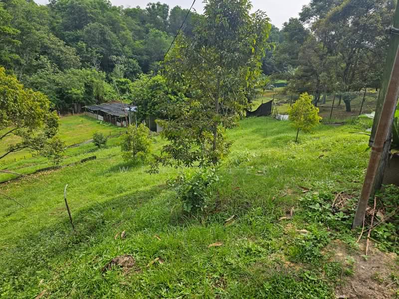 Tanah Pertanian untuk Dijual di Taman Senawang Jaya (Senawang) - Wendy Lee - The Land View 4 - PropertyGuru.com.my