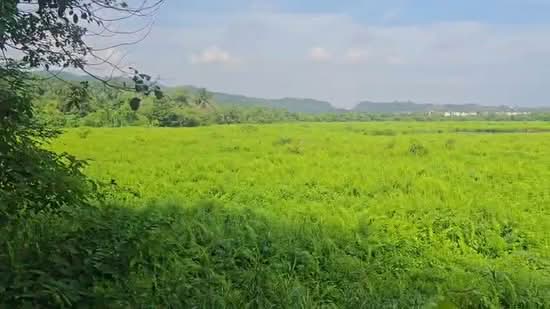 Tanah Kediaman untuk Dijual di Ulu Yam (Selangor) - Josh Chong - PropertyGuru.com.my