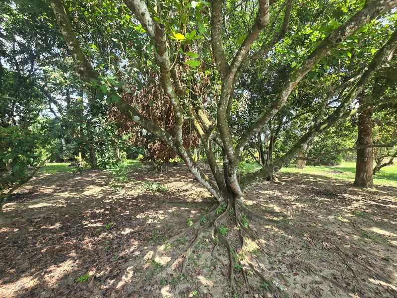 Tanah Kediaman untuk Dijual di Ulu Yam (Selangor) - Josh Chong - Garden - PropertyGuru.com.my