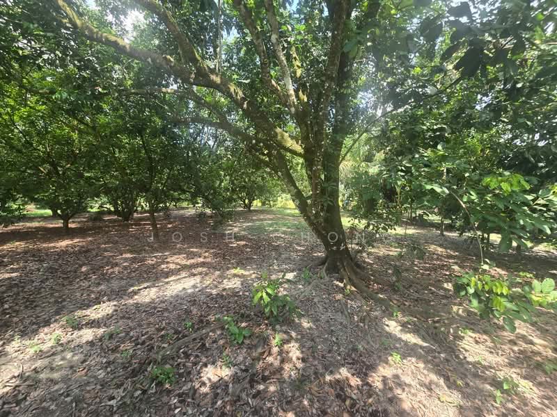 Tanah Kediaman untuk Dijual di Ulu Yam (Selangor) - Josh Chong - Garden - PropertyGuru.com.my