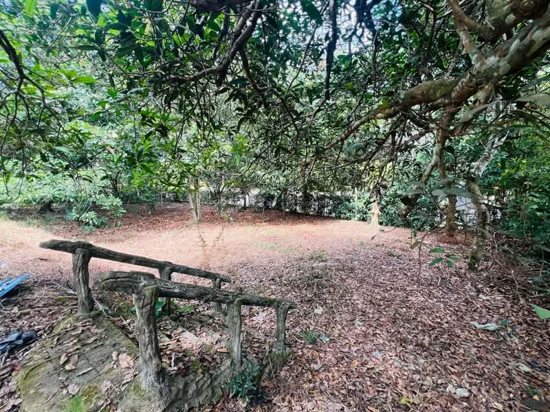 Bungalow for Sale in Leisure Farm (Gelang Patah) - Jacky Chua - Garden - PropertyGuru.com.my