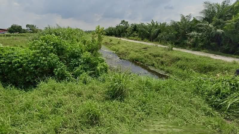 Agricultural Land for Sale in Kampung Johan Setia (Klang) - Penny Chia - Exterior - PropertyGuru.com.my