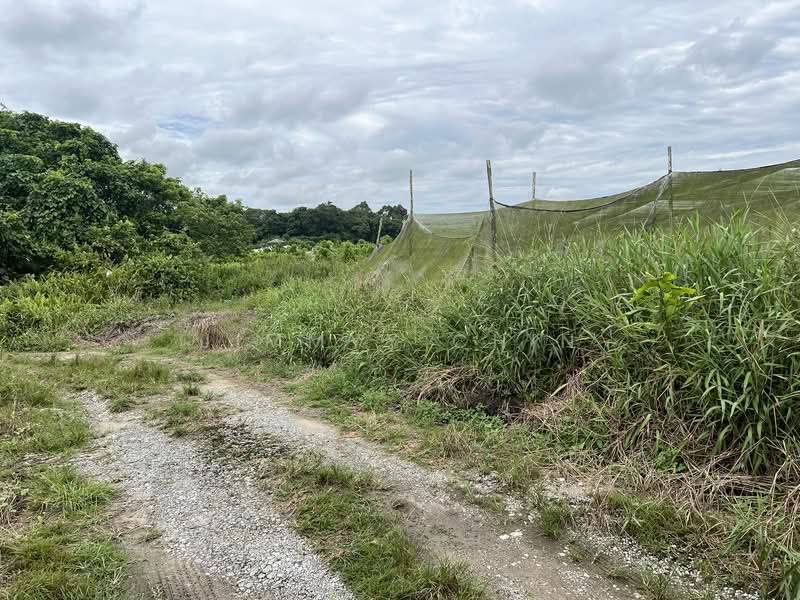 Agricultural Land for Sale in Kuching (Sarawak) - Jimmyy Chin - PropertyGuru.com.my
