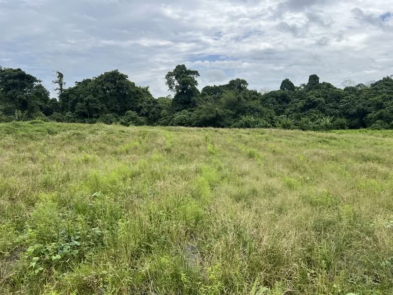Agricultural Land for Sale in Kuching (Sarawak) - Jimmyy Chin - PropertyGuru.com.my